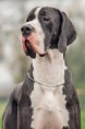 /album/fotogalerie4/sherlock-catley-ranch-2020-02-jpg1/